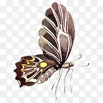 ˮ����ɫ����-������