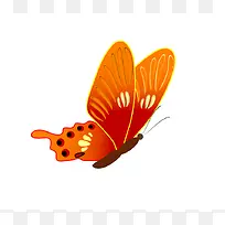 蝴蝶 彩色蝴蝶-空若网 蝴蝶 彩色蝴蝶-空若网