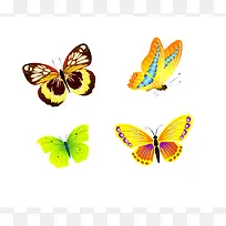 ����   ������-������