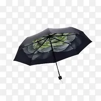 ���۵�ɡ-������