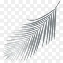 树影树倒倒影影子-空若网 树影树倒倒影影子-空若网