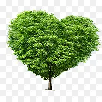 心形的树 绿树 春天-空若网 心形的树 绿树 春天-空若网