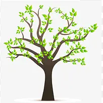 发芽的树 绿树 春天-空若网 发芽的树 绿树 春天-空若网