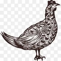 ��ͨ��������綯��װ�κ������-������