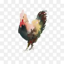 2017水彩手绘公鸡素材-空若网 2017水彩手绘公鸡素材-空若网