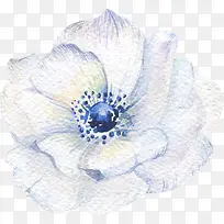 手绘卡通水彩风花朵-空若网 手绘卡通水彩风花朵-空若网