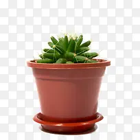 ���� �������ز�-������