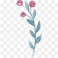 植物手绘卡通果子-空若网 植物手绘卡通果子-空若网