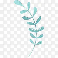 植物手绘卡通水彩风-空若网 植物手绘卡通水彩风-空若网