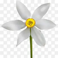 �����ɫ����-������