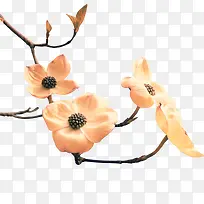 һ֧��ɫ�Ļ�-������