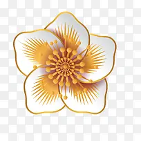 ��ɫ���󻨶�Ԫ��-������