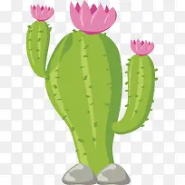 仙人掌开花矢量图-空若网 仙人掌开花矢量图-空若网