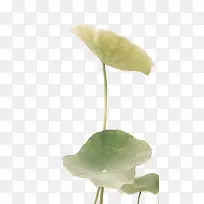 Ë®²ÊºÉÒ¶-¿ÕÈôÍø Ë®²ÊºÉÒ¶-¿ÕÈôÍø