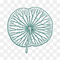 ��ͨ�ֻ���ɫ������Ҷ-������