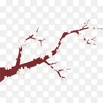 美丽的白色樱花树枝-空若网 美丽的白色樱花树枝-空若网