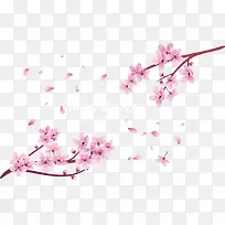 粉红浪漫樱花树枝-空若网 粉红浪漫樱花树枝-空若网