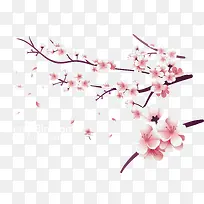 浪漫粉红樱花树枝-空若网 浪漫粉红樱花树枝-空若网