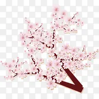 �����ۺ�ӣ����֦-������