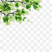 树枝绿叶春天树叶-空若网 树枝绿叶春天树叶-空若网