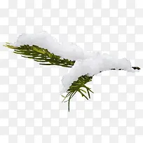 ��ѩ����֦����png��۸����ͼ-������