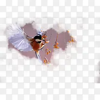 ������ɫС����֦-������