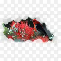 春天绿色小鸟树枝上的小鸟-空若网 春天绿色小鸟树枝上的小鸟-空若网