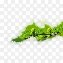 春天绿色树枝一根树枝-空若网 春天绿色树枝一根树枝-空若网