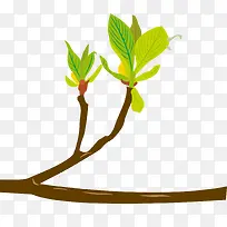 �ֻ洺����֦��ѿ-������