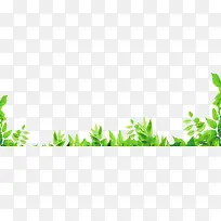 春天 春光 绿叶 绿树 树枝-空若网 春天 春光 绿叶 绿树 树枝-空若网