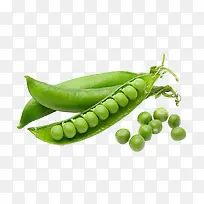 ÂÌÉ«Ê߲˶¹¼Ô-¿ÕÈôÍø ÂÌÉ«Ê߲˶¹¼Ô-¿ÕÈôÍø