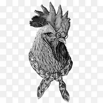 矢量时尚的公鸡头-空若网 矢量时尚的公鸡头-空若网