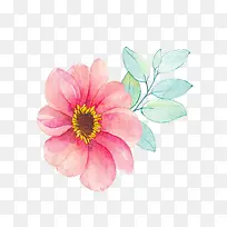 �ֻ滨��ݣ�800*600��-������