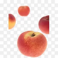 ����ˮ�������ز�-������