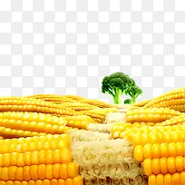 健康食物素材下载-空若网 健康食物素材下载-空若网