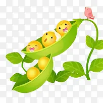 黄豆卡通手绘图-空若网 黄豆卡通手绘图-空若网