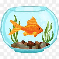 ��ͨ�ɰ�С����װ�ζ���ͷ��-������