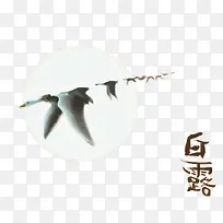 大雁矢量节气白露-空若网 大雁矢量节气白露-空若网