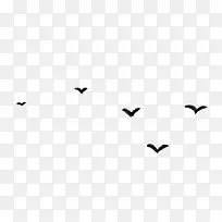 黑色大雁飞舞翅膀-空若网 黑色大雁飞舞翅膀-空若网