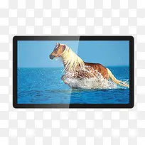 Һ��������ʾ��-������