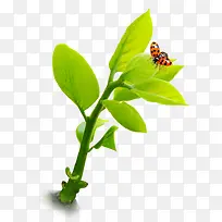 植物昆虫png-空若网 植物昆虫png-空若网