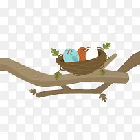 ��ͨ��֦�ϵ�����-������