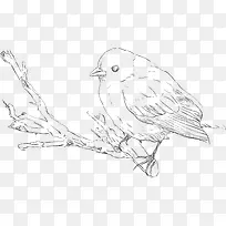 ��֦�ϵ� С��-������