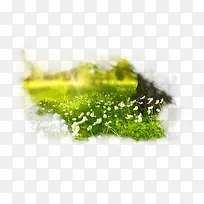 ´ºÌìÂÌÉ«·ç¾°Ð¡²Ý²Ý´Ô-¿ÕÈôÍø ´ºÌìÂÌÉ«·ç¾°Ð¡²Ý²Ý´Ô-¿ÕÈôÍø