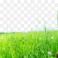 �ݴ�-������