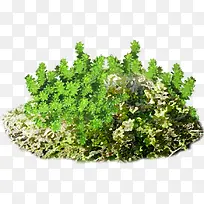 水彩草丛-空若网 水彩草丛-空若网