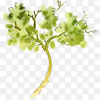 ��ʿ�ͨ������ֲ��������ز�-������