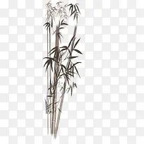 �ز� ʸ�� PNG ͨ�� ë�� ����-������