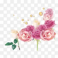 �ۺ�õ�廨-������