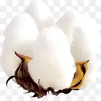 ��ɫ�޻�PNG-������